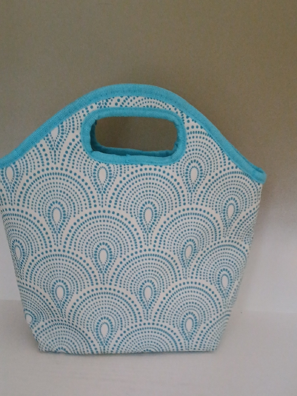 Lunch Tote Bag